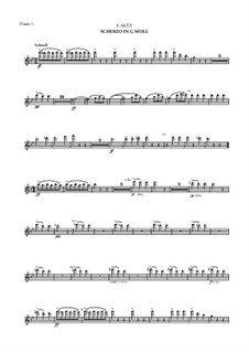 Symphony No.1 in C Minor, WAB 101: Flute I part by Anton Bruckner