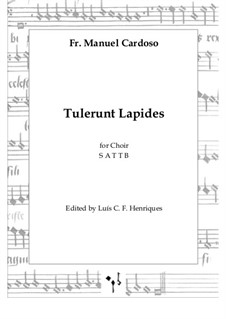 Tulerunt Lapides: Tulerunt Lapides by Manuel Cardoso