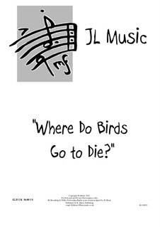 Where Do Birds Go to Die?: In G Major by John Lovell