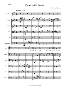 Dawn in the Room: For alto (or baritone) and string orchestra by David W Solomons