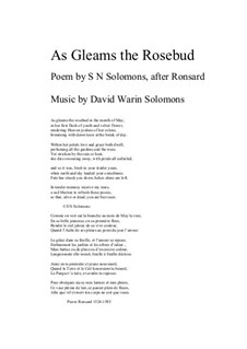 As gleams the rosebud for alto and guitar: As gleams the rosebud for alto and guitar by David W Solomons