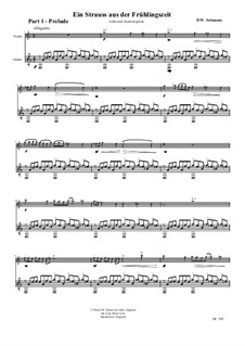 Ein Strauss aus der Frühlingszeit (A bunch of flowers from springtime): For violin and guitar by David W Solomons