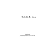 Galilei in der Gasse: Galilei in der Gasse by Raimund Vogtenhuber