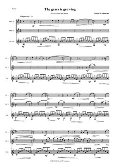 The grass is growing: For 2 alto recorders (or 2 flutes) and guitar by David W Solomons