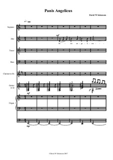 Panis Angelicus for choir, clarinet, guitar and organ: Panis Angelicus for choir, clarinet, guitar and organ by David W Solomons