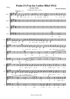 Psalm 23 for choir (mixed choir or male voices) in German: Psalm 23 for choir (mixed choir or male voices) in German by David W Solomons