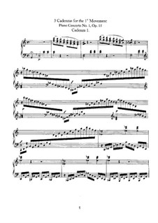 Cadenzas to Piano Concertos: Cadenzas to Piano Concertos by Ludwig van Beethoven