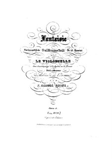 Fantaisie sur des motifs de 'Guillaume Tell' de G. Rossini, Op.81 No.2: Fantaisie sur des motifs de 'Guillaume Tell' de G. Rossini by François George Hainl