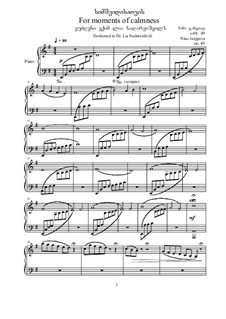 For moments of calmness, Op.49: For moments of calmness by Nino Janjgava