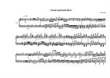 Bagatelle for piano No.1, MVWV 400: Bagatelle for piano No.1 by Maurice Verheul