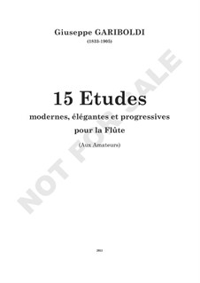 15 Etudes modernes, elegantes et progressives pour la Flute: 15 Etudes modernes, elegantes et progressives pour la Flute by Giuseppe Gariboldi