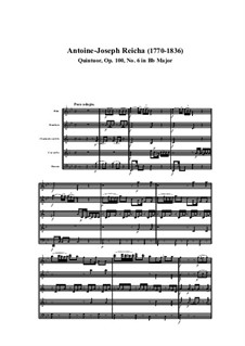 Woodwind Quintet in B Flat Major, Op.100 No.6: Movement I by Anton Reicha