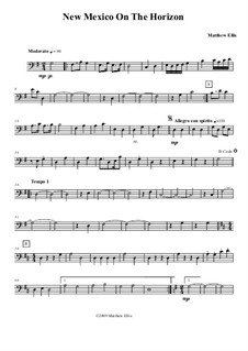 New Mexico On The Horizon: Double bass part by Matthew Ellis