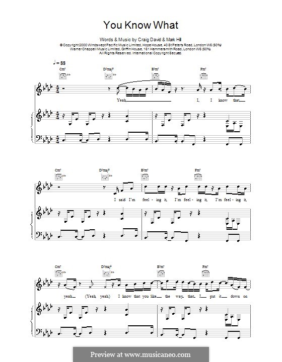 You Know What: For voice and piano (or guitar) by Craig David