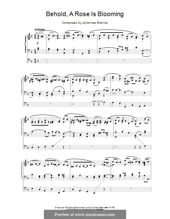 Behold, a Rose is Blooming: Behold, a Rose is Blooming by Johannes Brahms
