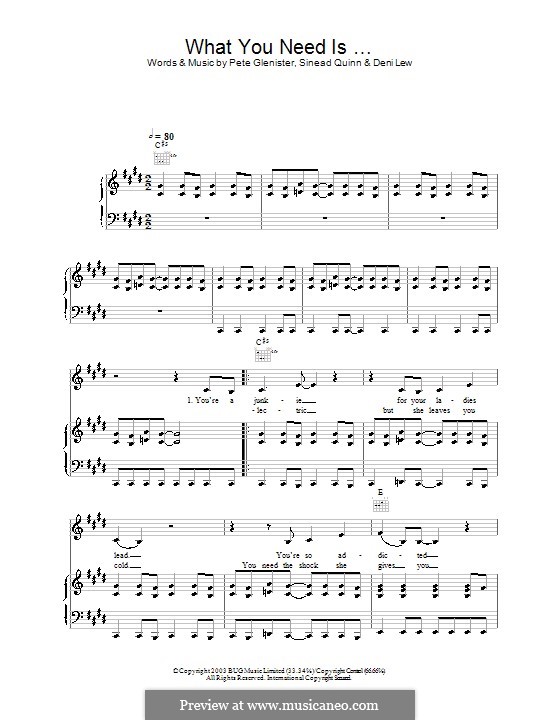 What You Need Is ...: For voice and piano (or guitar) by Deni Lew, Pete Glenister