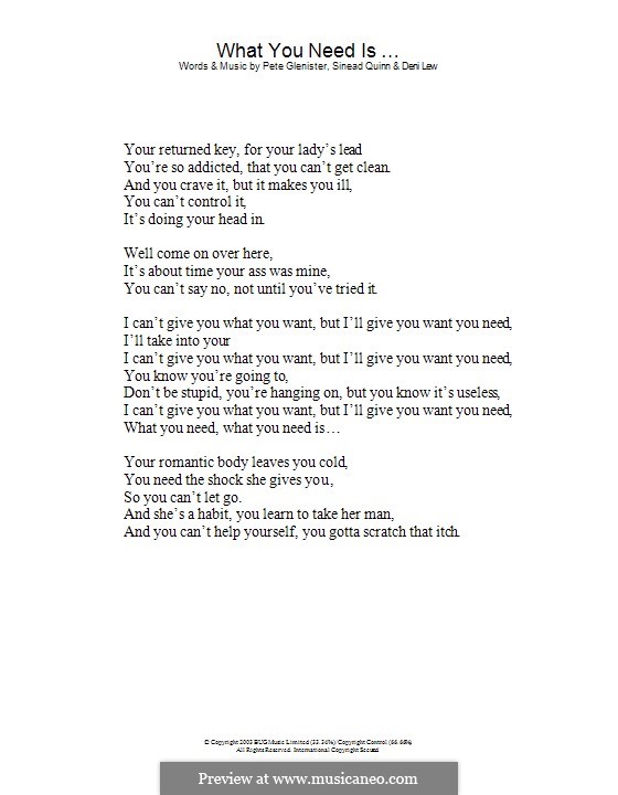What You Need Is ...: Lyrics only by Deni Lew, Pete Glenister