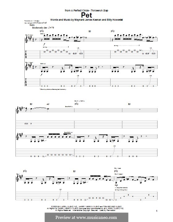 Pet (A Perfect Circle): Für Gitarre mit Tabulatur by Billy Howerdel, Maynard James Keenan