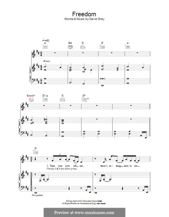 Freedom: Für Stimme und Klavier (oder Gitarre) by David Gray