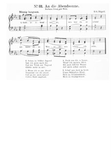 An die Abendsonne: An die Abendsonne by Hans Georg Nägeli