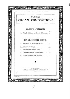 Variations poétiques sur un thème original: Variations poétiques sur un thème original by Arthur Eaglefield Hull
