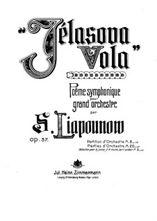 Sinfonisches Poem 'Żelazowa Wola', Op.37: Für zwei Klaviere by Sergei Lyapunov
