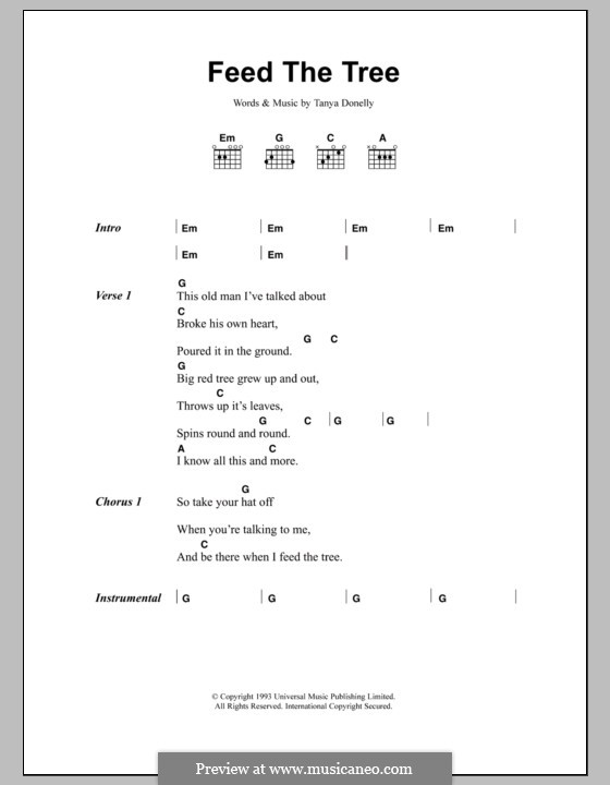 Feed the Tree (Belly): Text und Akkorde by Tanya Donelly