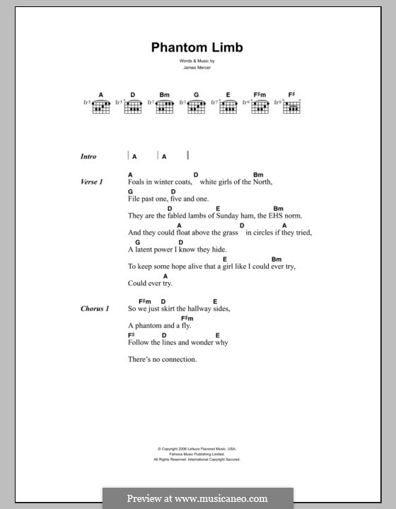 Phantom Limb (The Shins): Texte und Akkorde by James Mercer
