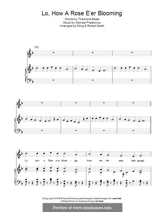 Es ist ein Ros entsprungen: Für Stimme und Klavier (oder Gitarre) by Michael Praetorius