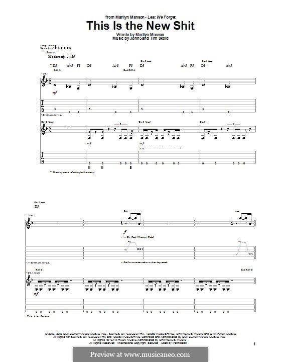 This is the New Shit: Für Gitarre mit Tab by Marilyn Manson, Tim Skold