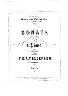 Sonate für Klavier, Op.13: Sonate für Klavier by Thomas Tellefsen