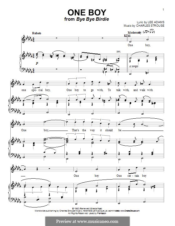 One Boy (Girl) from Bye Bye Birdie: Für Stimme und Klavier (oder Gitarre) by Charles Strouse