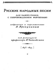 Fünfundsechzig russische Volkslieder: Fünfundsechzig russische Volkslieder by Vasilij Prokunin