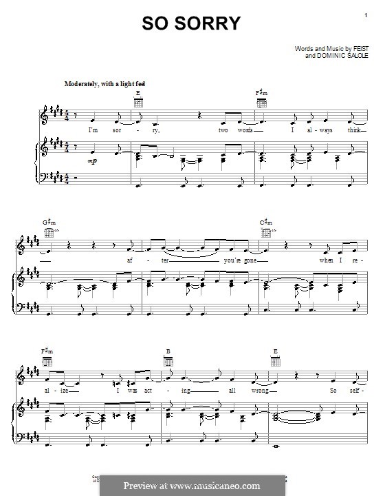 So Sorry (Feist): Für Stimme und Klavier (oder Gitarre) by Dominic Salole