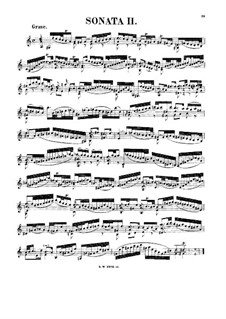 Sonate für Violine Nr.2 in a-Moll, BWV 1003: Für einen Interpreten by Johann Sebastian Bach