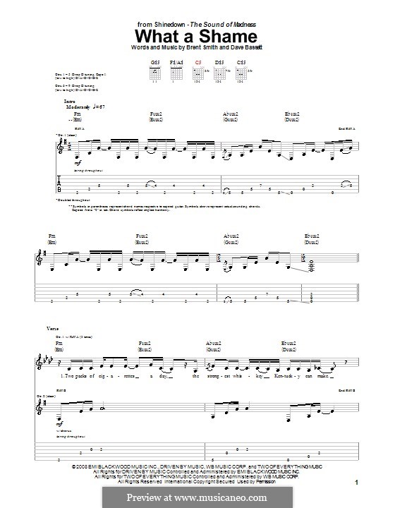 What a Shame (Shinedown): Für Gitarre mit Tabulatur by Brent Smith, Dave Bassett