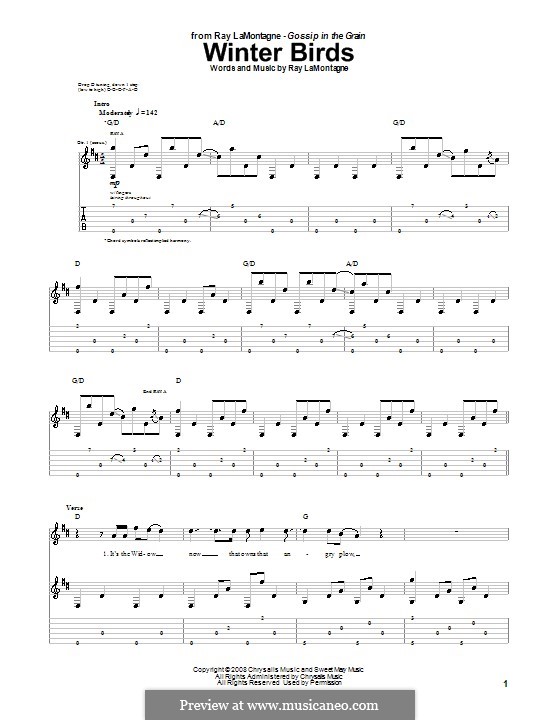 Winter Birds: Für Gitarre mit Tab by Ray LaMontagne