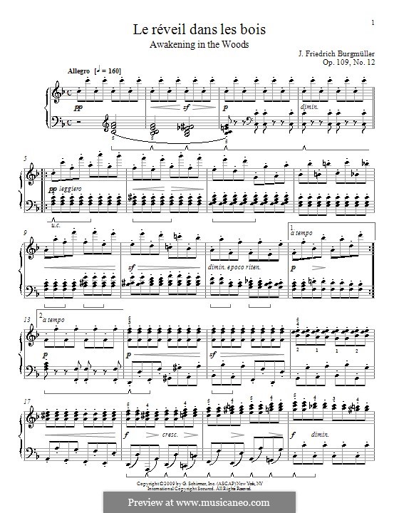 Etüde Nr.12: Für Klavier by Johann Friedrich Burgmüller