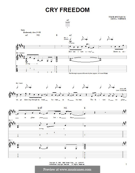 Cry Freedom: Für Gitarre mit Tab by David J. Matthews