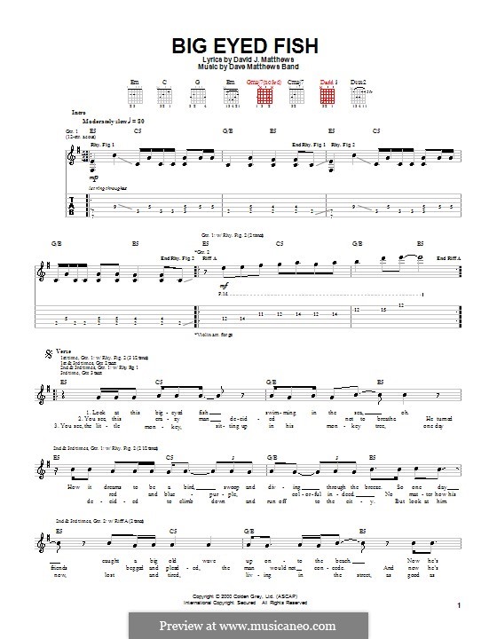 Big Eyed Fish (Dave Matthews Band): Für Gitarre mit Tabulatur by David J. Matthews