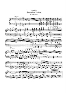 Sonate für Klavier Nr.19 in C-Moll, D.958: Für einen Interpreten by Franz Schubert