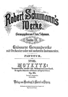 Verzweifle nicht im Schmerzensthal, Op.93: Verzweifle nicht im Schmerzensthal by Robert Schumann