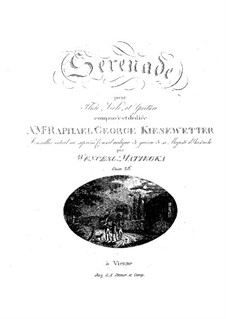 Serenade für Flöte, Viola und Gitarre, Op.26: Serenade für Flöte, Viola und Gitarre by Wenzel Thomas Matiegka