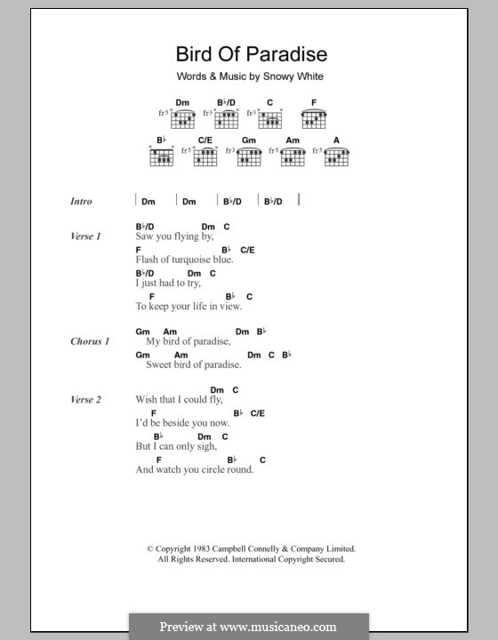 Bird of Paradise: Texte und Akkorde by Snowy White