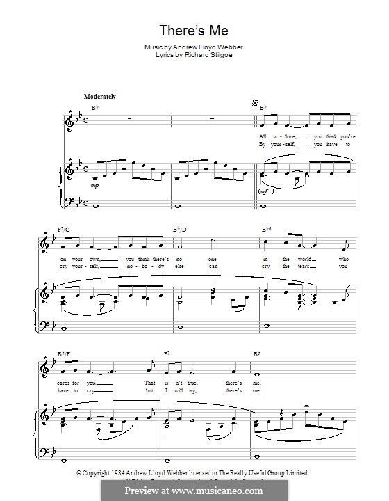 There's Me: Für Stimme und Klavier (oder Gitarre) by Andrew Lloyd Webber