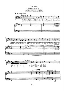 Erhöhtes Fleisch und Blut, BWV 173: Klavierauszug mit Singstimmen by Johann Sebastian Bach