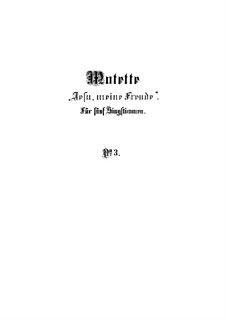 Jesu, meine Freude, BWV 227: Singpartitur by Johann Sebastian Bach