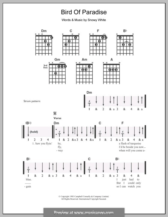 Bird of Paradise: Für Gitarre by Snowy White