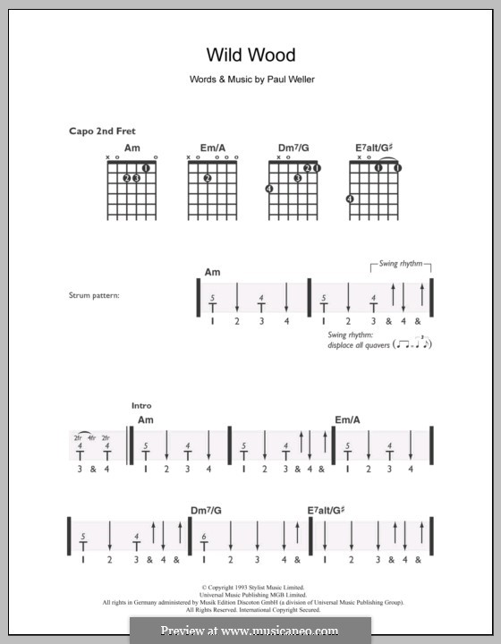 Wild Wood: Für Gitarre by Paul Weller