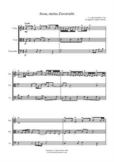 Jesus, meine Zuversicht, BWV 728 (Die Notenbüchlein für Anna Magdalena ...